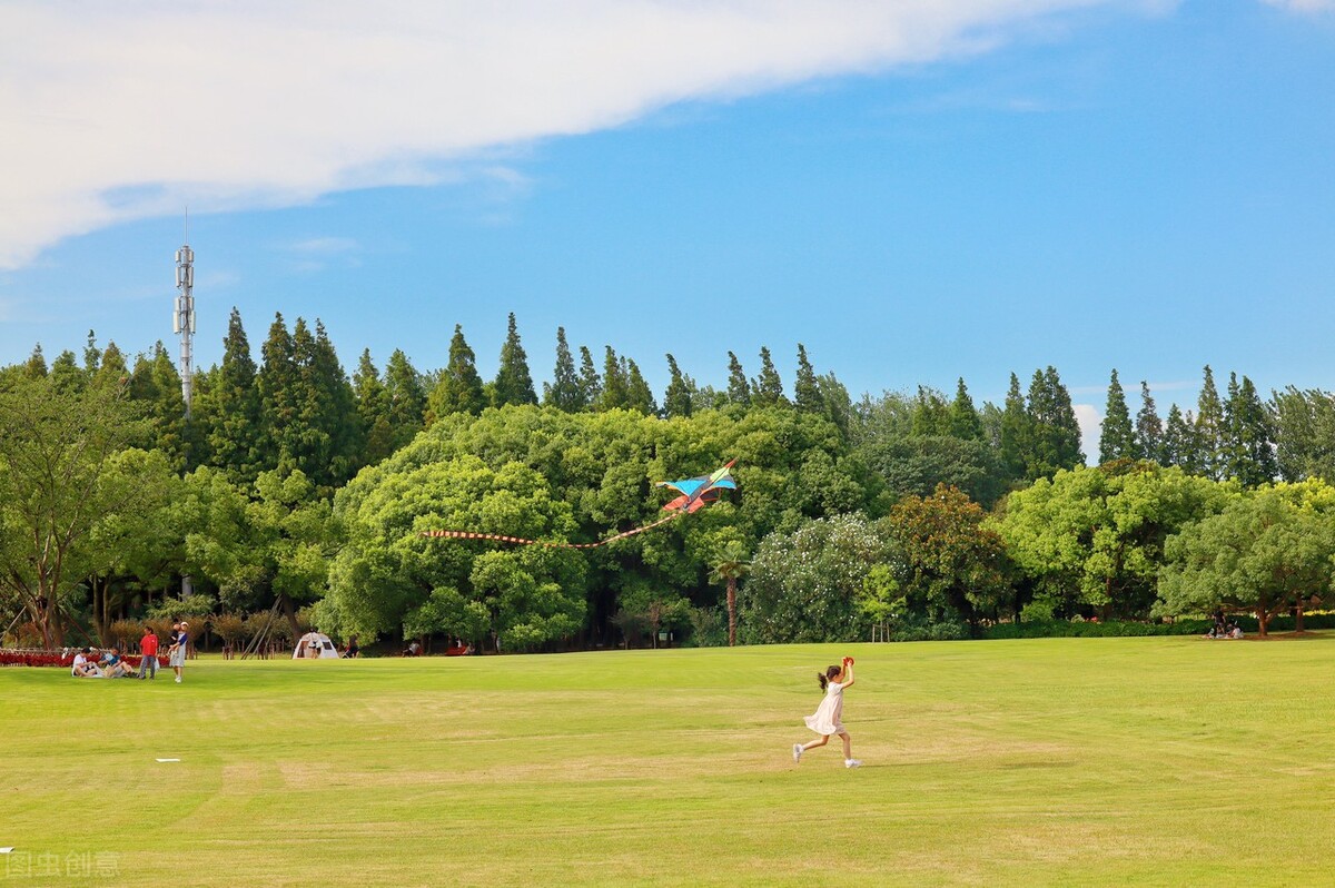 上海市区森林秘境,上海这些景区值得一去