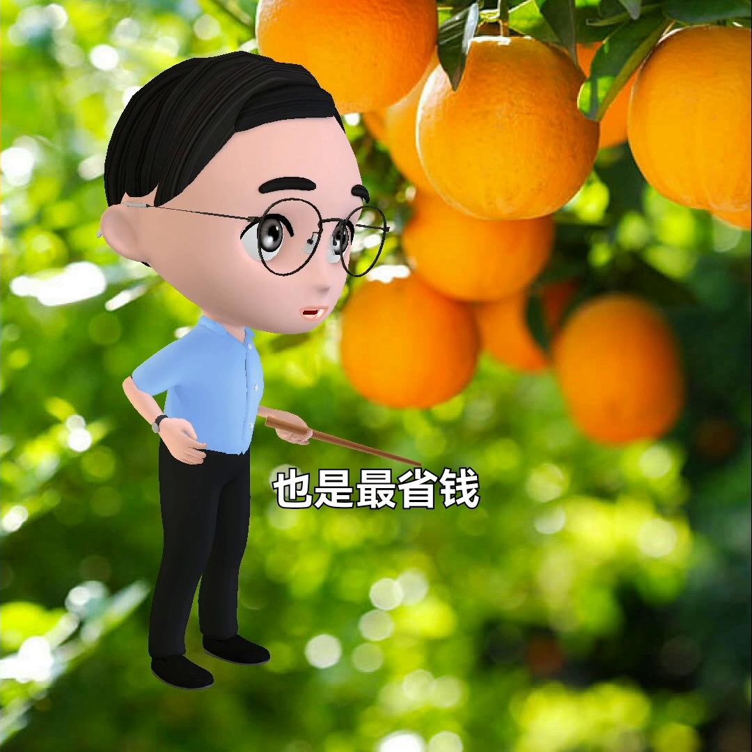 同城配送水果蔬菜流程,生鲜水果配送小程序