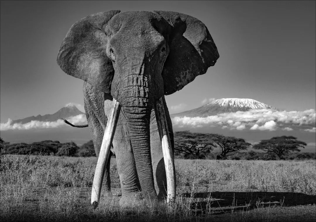 摄影界最著名的奖,摄影界的最高奖项叫什么