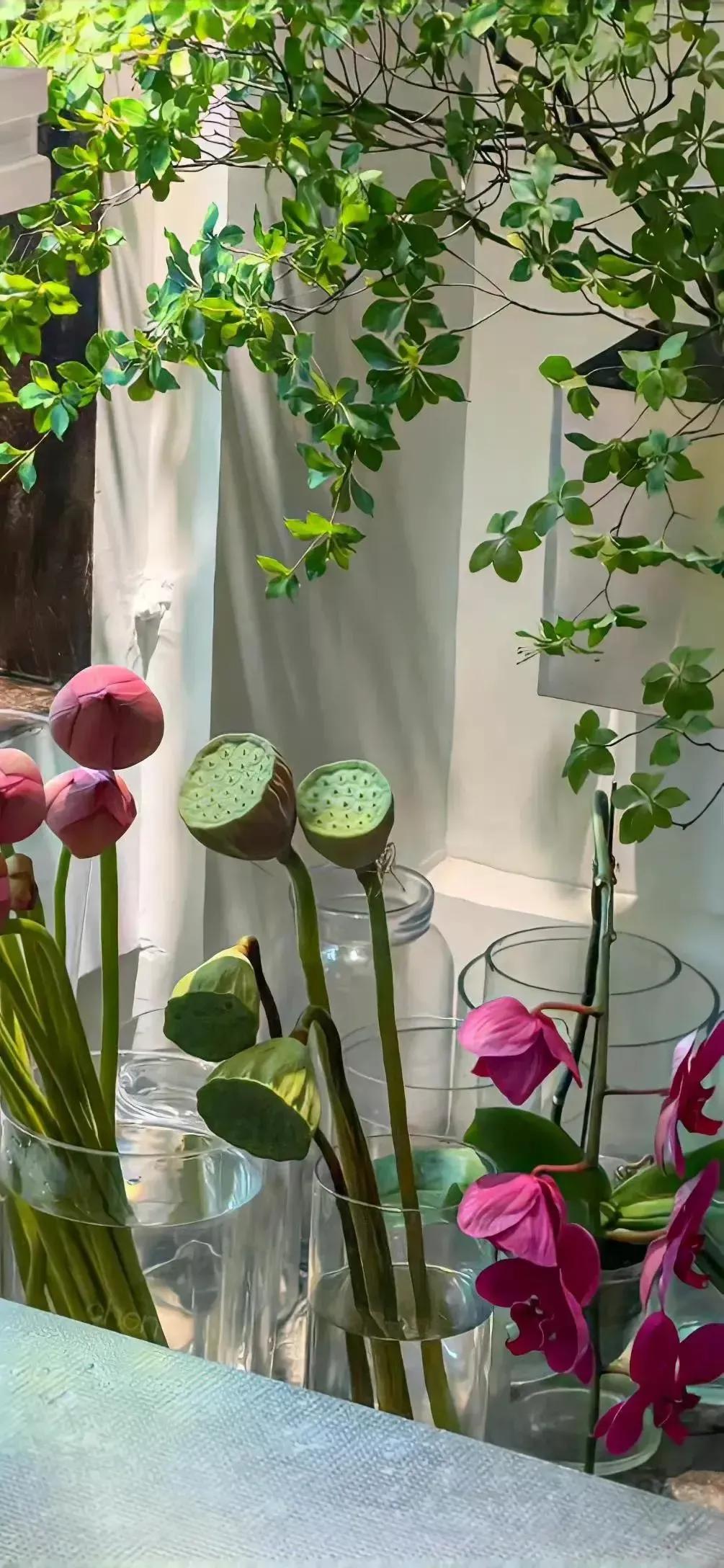 高清壁纸图片全屏干净高级,男士专用黑色美女全屏壁纸