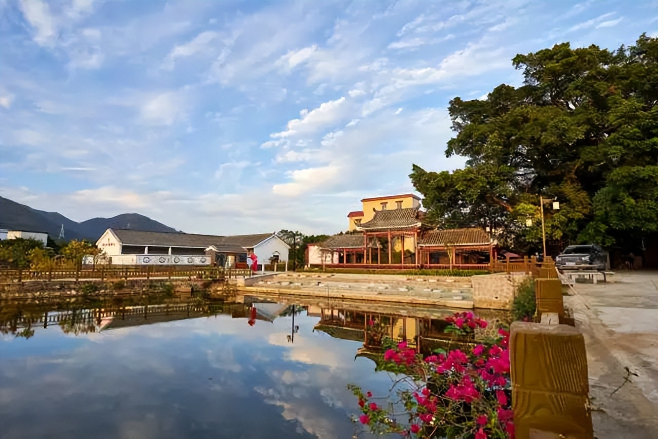 为肇庆高质量发展做出自己努力,奋力推进肇庆改革发展新跨越