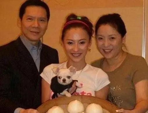 向太陈岚杭州豪宅内景,向太陈岚在杭州的房子