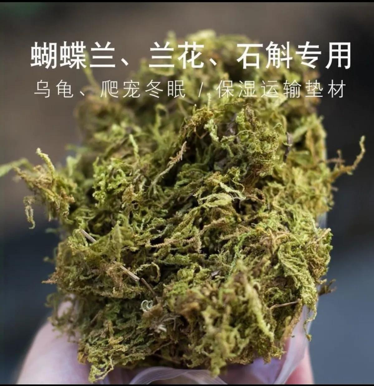 养乌龟自来水怎么去氯,自来水直接养乌龟