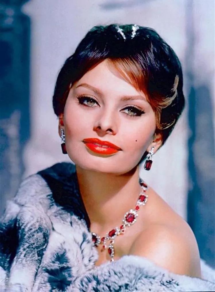 意大利著名演员索菲亚罗兰,为什么索菲亚罗兰是意大利玫瑰