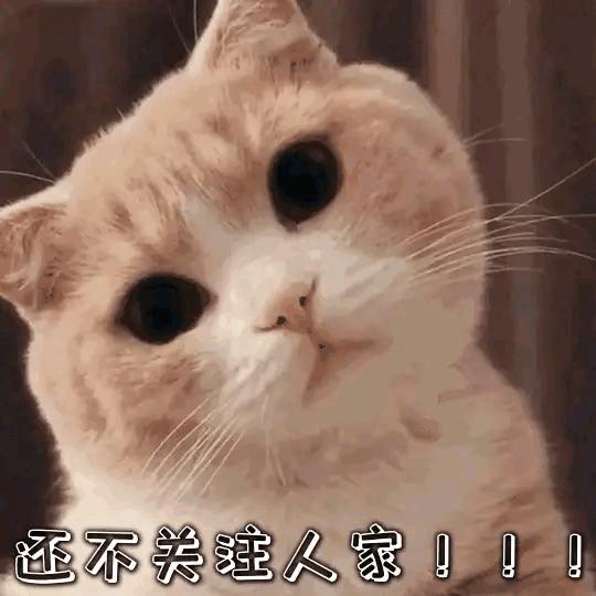 高清地图可标注,高清地图搬运