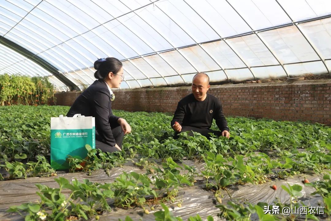 @农信“铿锵玫瑰”，快来看看你是什么字体~