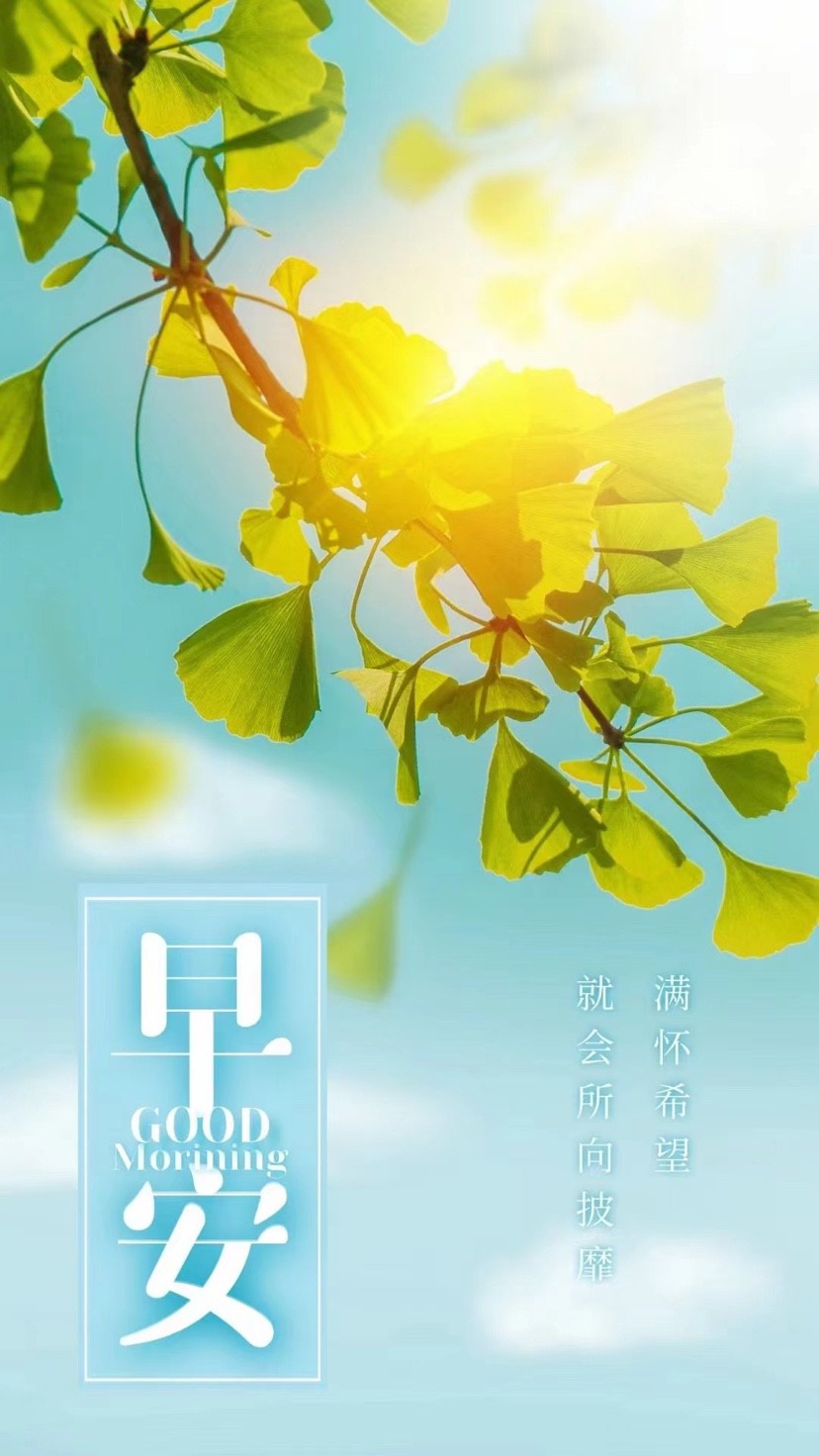 有深度有品味的早安短句,早安心语平淡是人生的常态