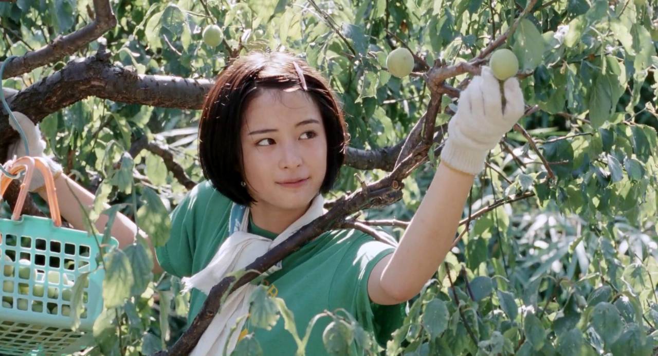 电影饮食男女李安版,饮食男女2电影观看