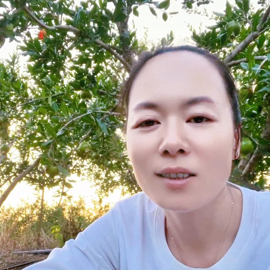 都在说返乡创业！又有多少人了解创业的风险和艰辛#灵茜水...