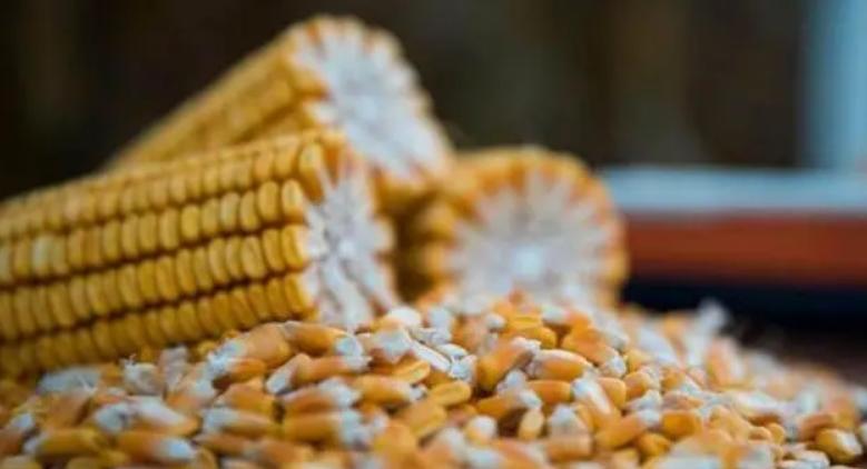 雪上加霜，美国债务尚且还没捋清楚，我国买家三周内取消多笔大单