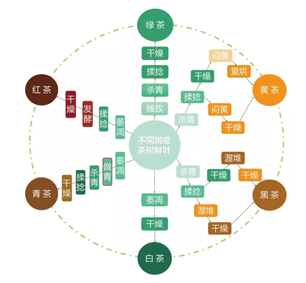 手把手教您买茶不入坑的诀窍,怎么买茶不会被坑