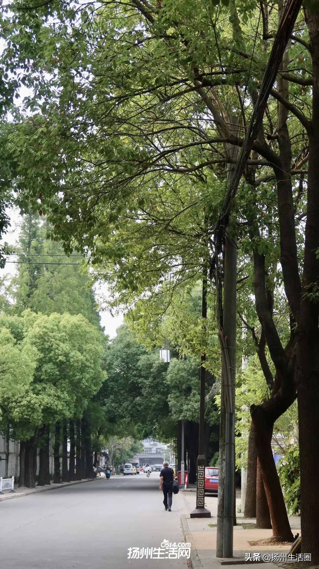 这是你没见过的全新版本,湾头古镇在哪里