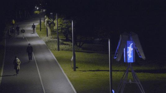 深圳香蜜公园参观指引,深圳光影艺术季攻略