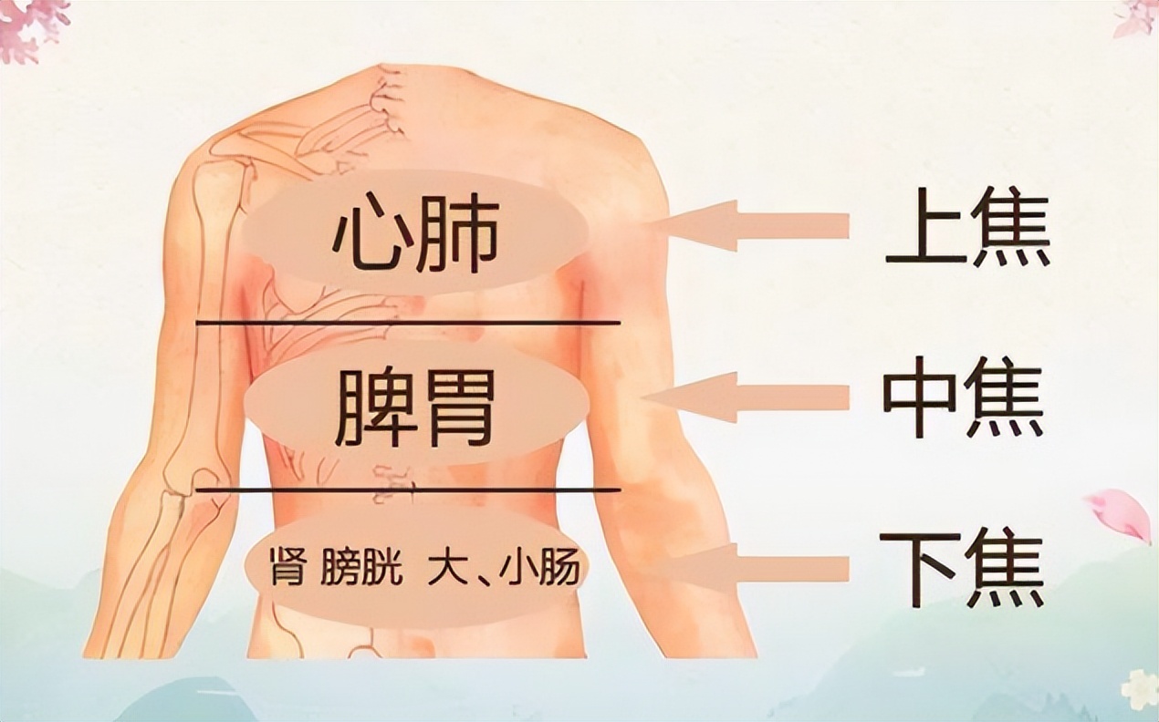 上热下寒中焦不通脾胃虚弱偏方,上热下寒脾胃堵