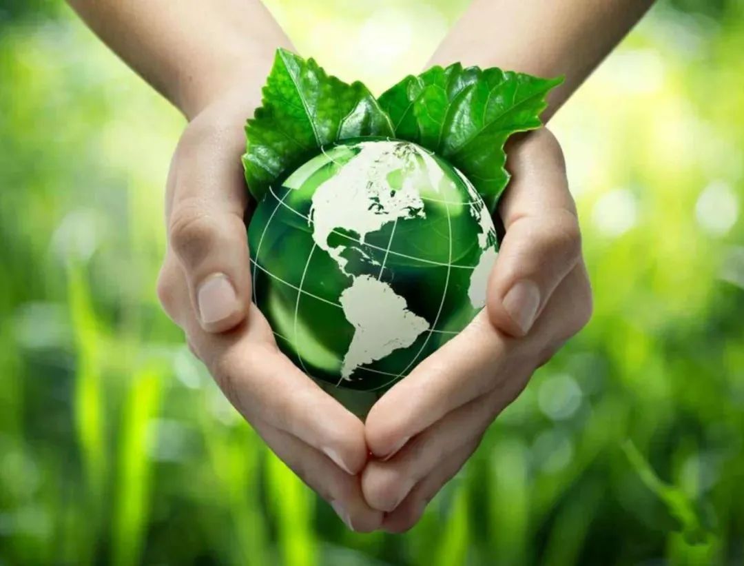 2023年是黑兔年还是木兔年,2023年被称为黑兔年为什么