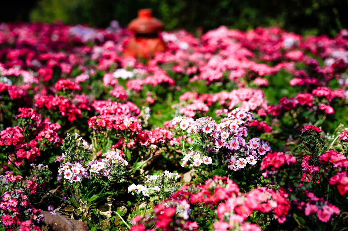 成都景点免费门票一览表,成都附近公园免费景点推荐