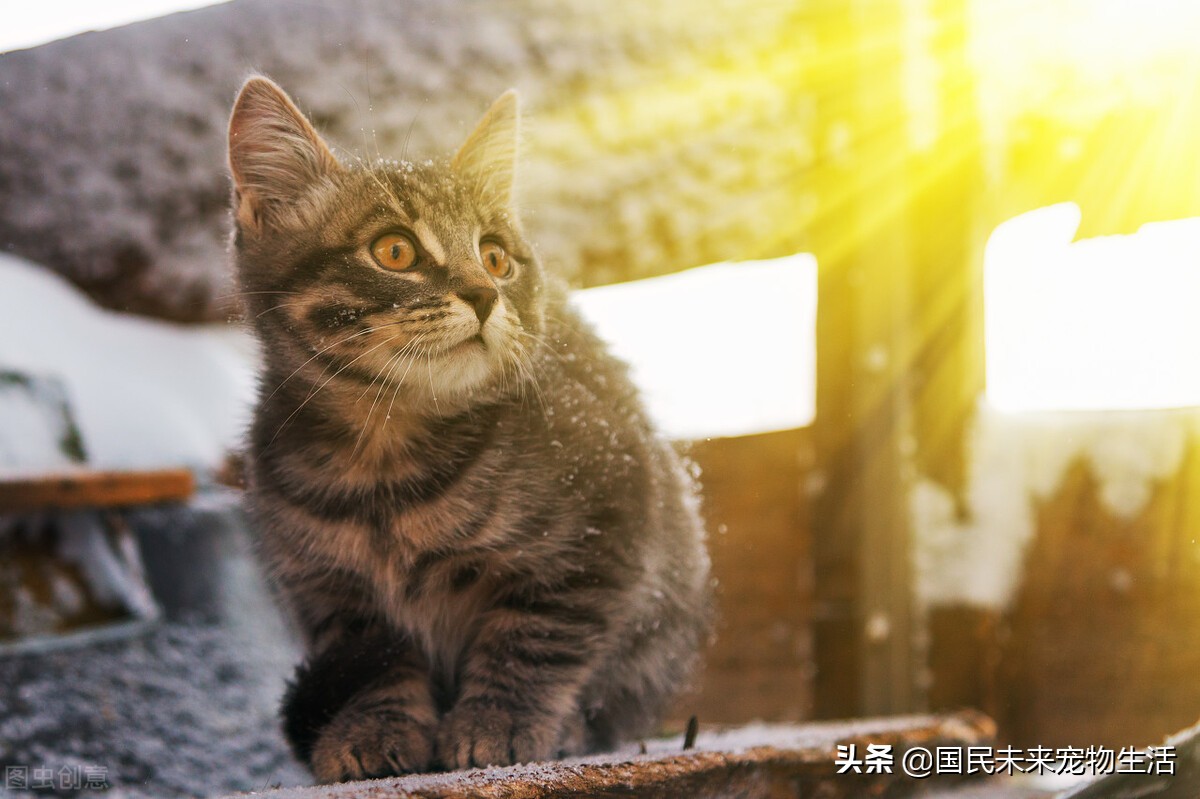 鐚挭鍙戞儏浜嗗彲浠ユ礂婢″墐姣涘悧,鍏尗鍜墐姣涘悗鍙戞儏鎬庝箞缂撹В