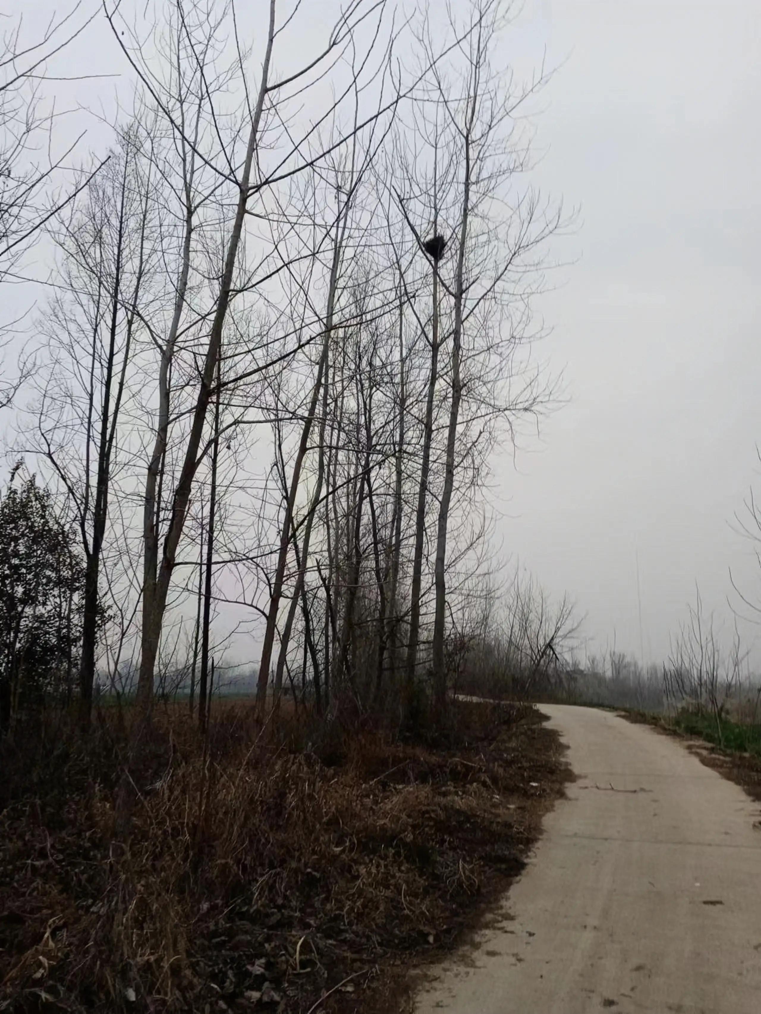 光阴须当惜下一句,光阴荏苒世事沧桑