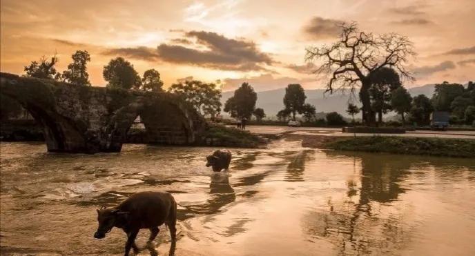 中庸智慧精华解析,中庸之道是先圣先贤的智慧结晶