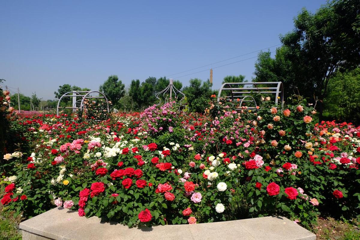 十一北京大兴周边旅游景点推荐,北京大兴黄村旅游攻略