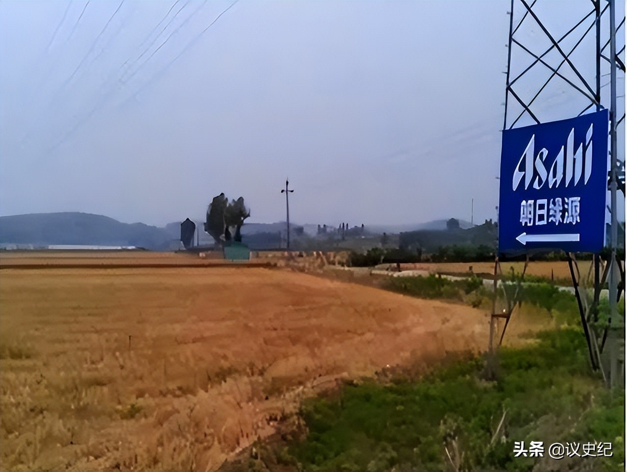 日本人在山东租地1500亩闲置5年,日本人在山东租1500亩地干啥用