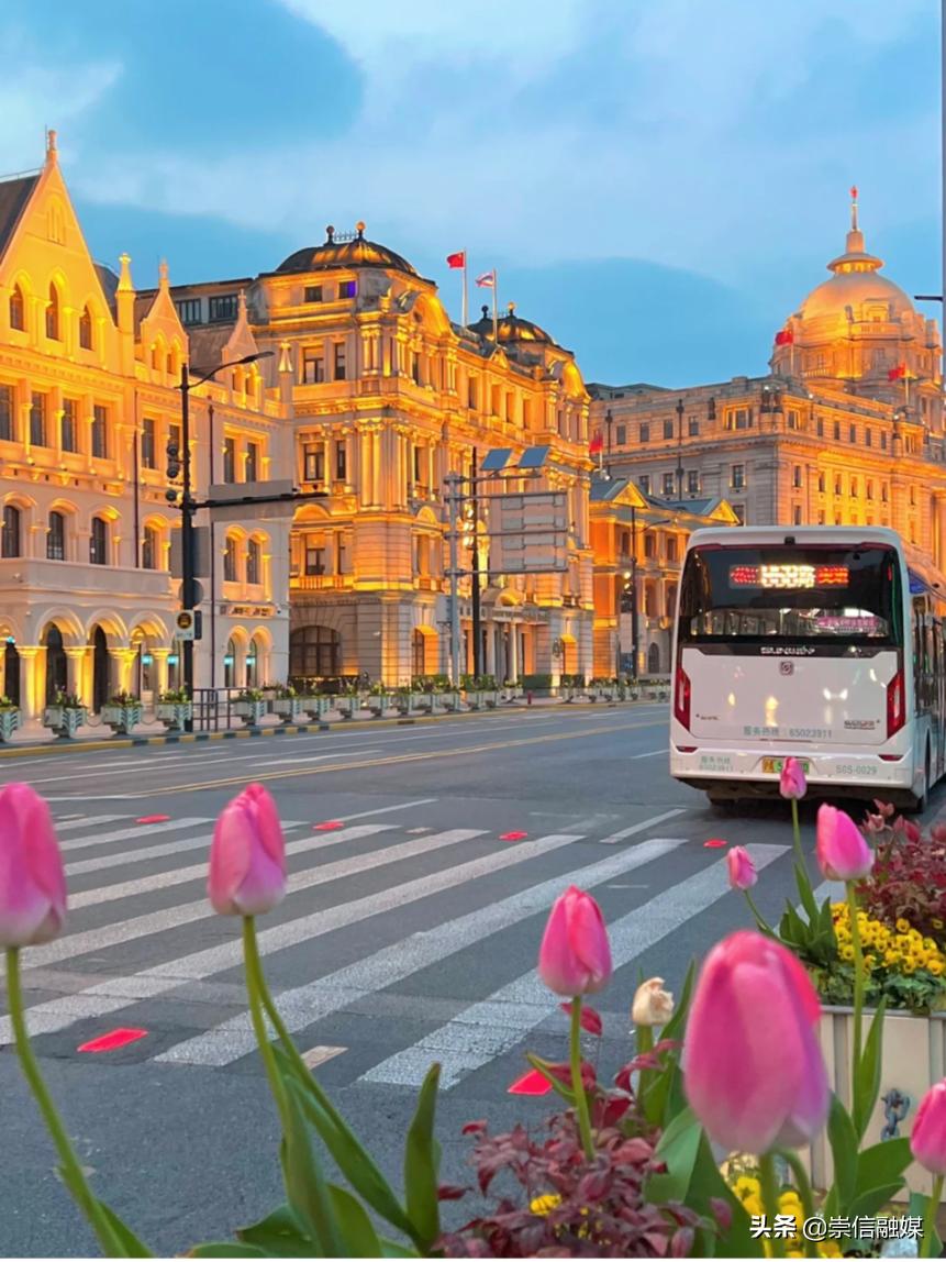 上海的浪漫鲜花,上海最美的鲜花