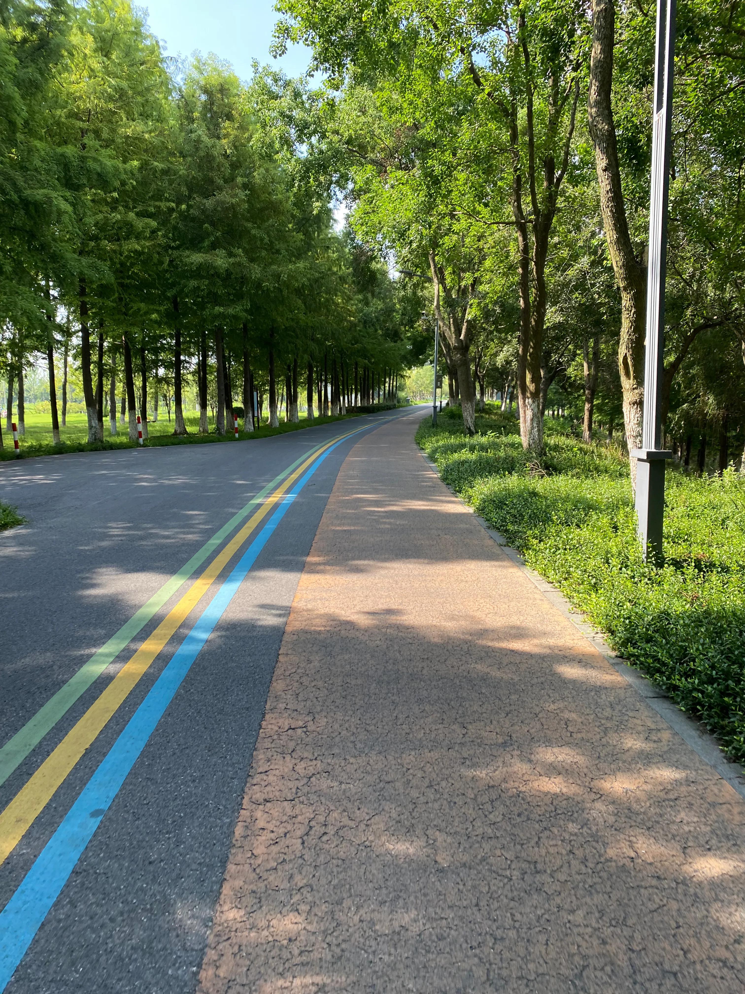 钃濆ぉ鐧戒簯鏌虫爲妗冭姳灏忔ˉ娴佹按,钃濆ぉ鐧戒簯缁挎爲寰闃冲厜鏄庡獨