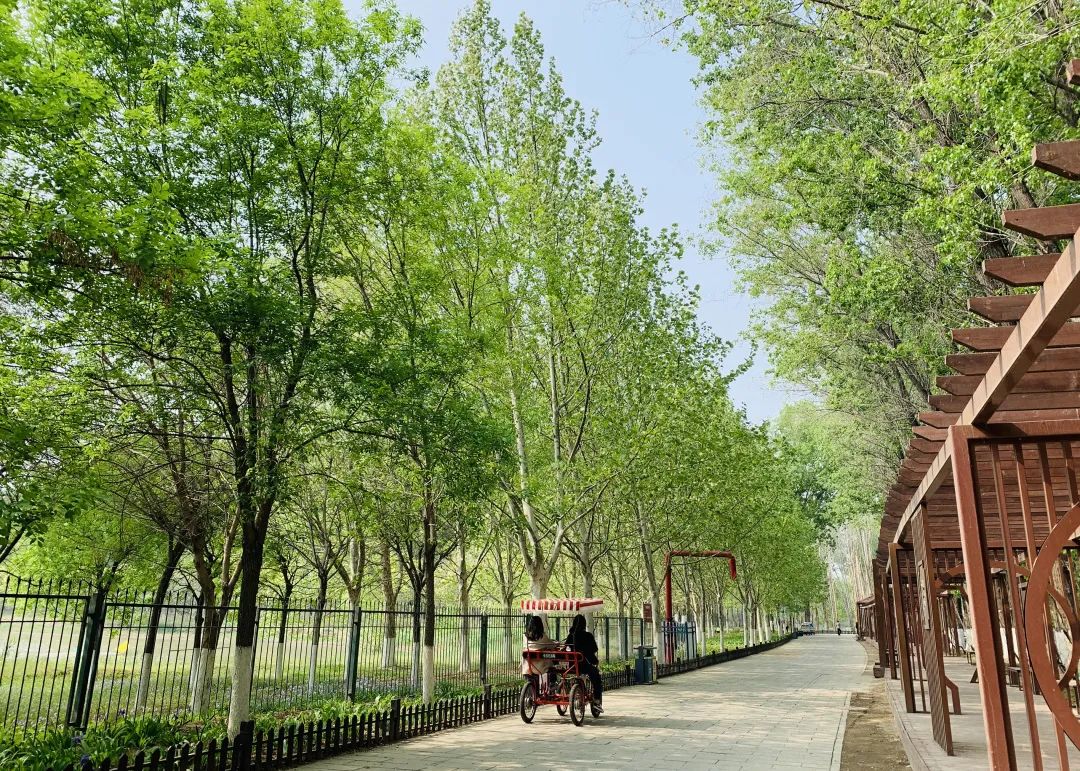 汉石桥湿地公园3月赏花,湖溪踏青好去处