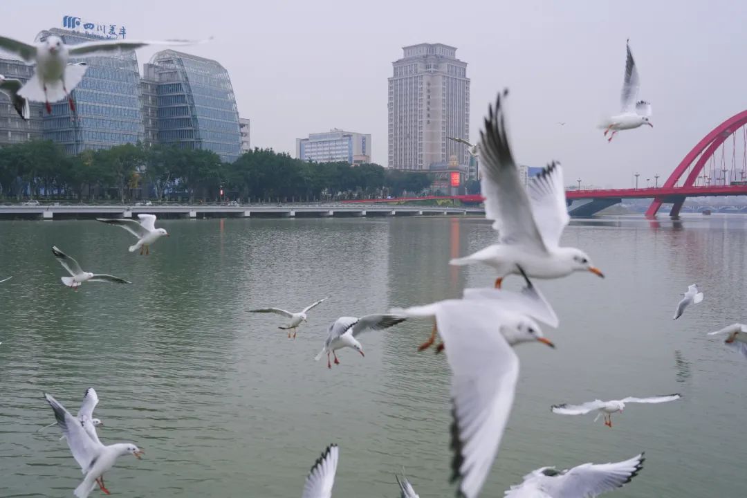 德阳最值得去的九大人文旅游景点,四川德阳旅游攻略必去景点