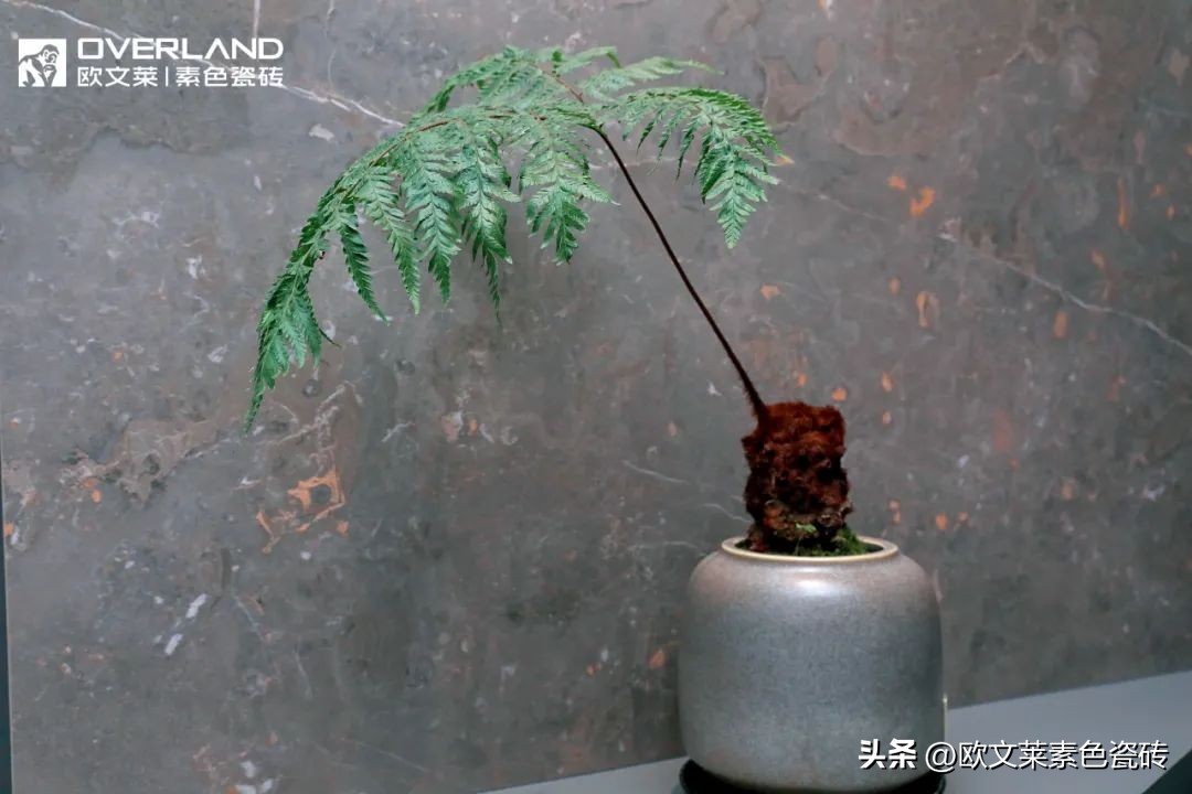 欧文莱加盟商高质量发展峰会成都启幕，门店新基建全面启动