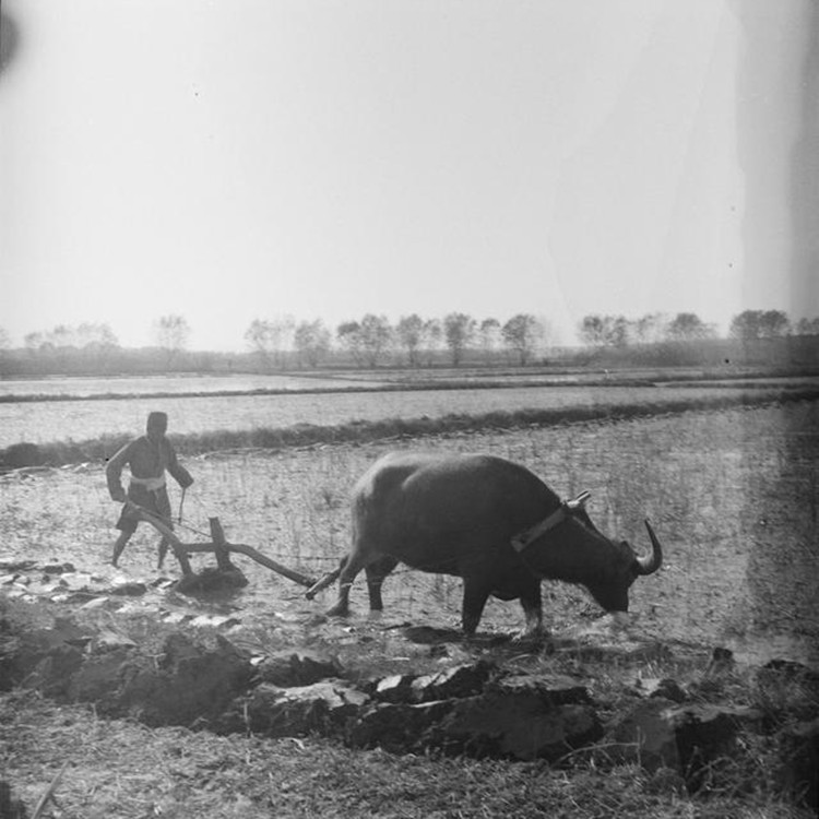 山东姑娘捡到钻石现状,中国10亿钻石下落