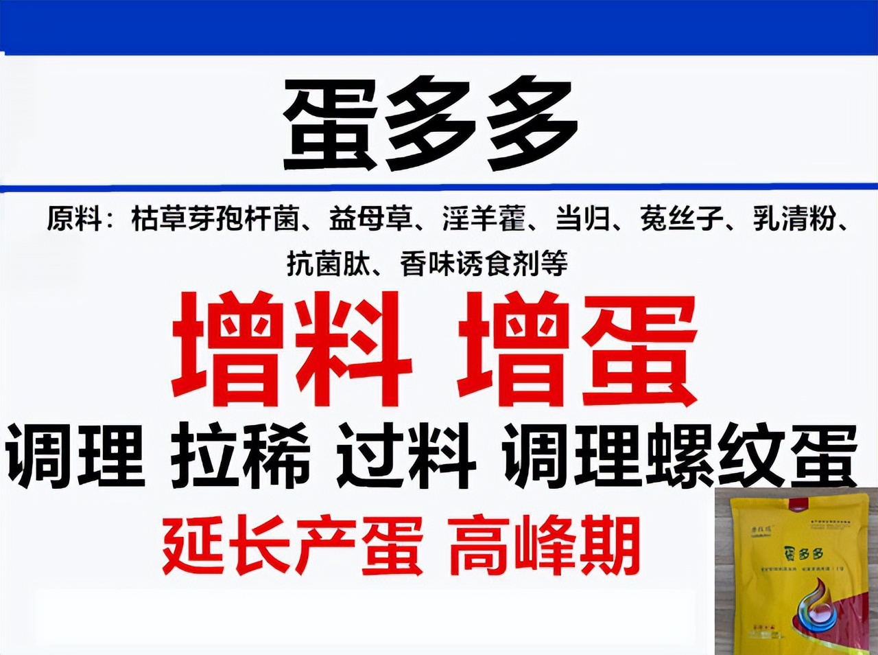 鸭子不产蛋怎么治疗,鸭子产畸形蛋是怎么回事