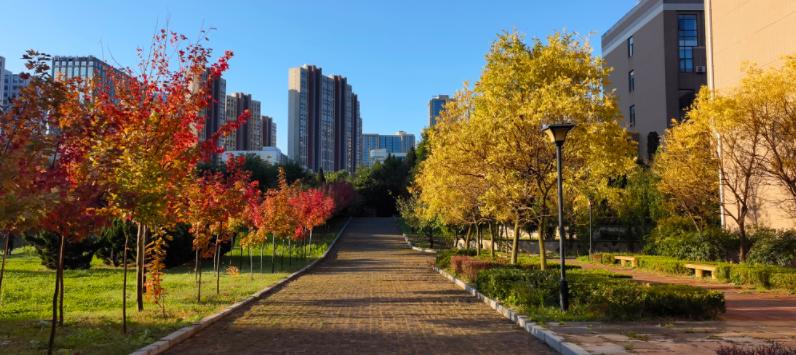 就业和深造可能性高的专业,就业前景好的文科考研专业