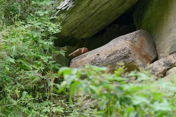 网上4元一斤的蜂蜜是真蜂蜜吗,正品蜂蜜多少钱一斤