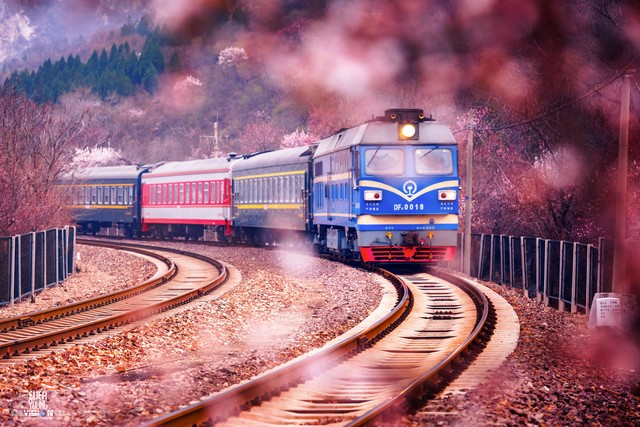 我到现在也没明白，是被逼着去学开车的还是自愿的？有同款吗？