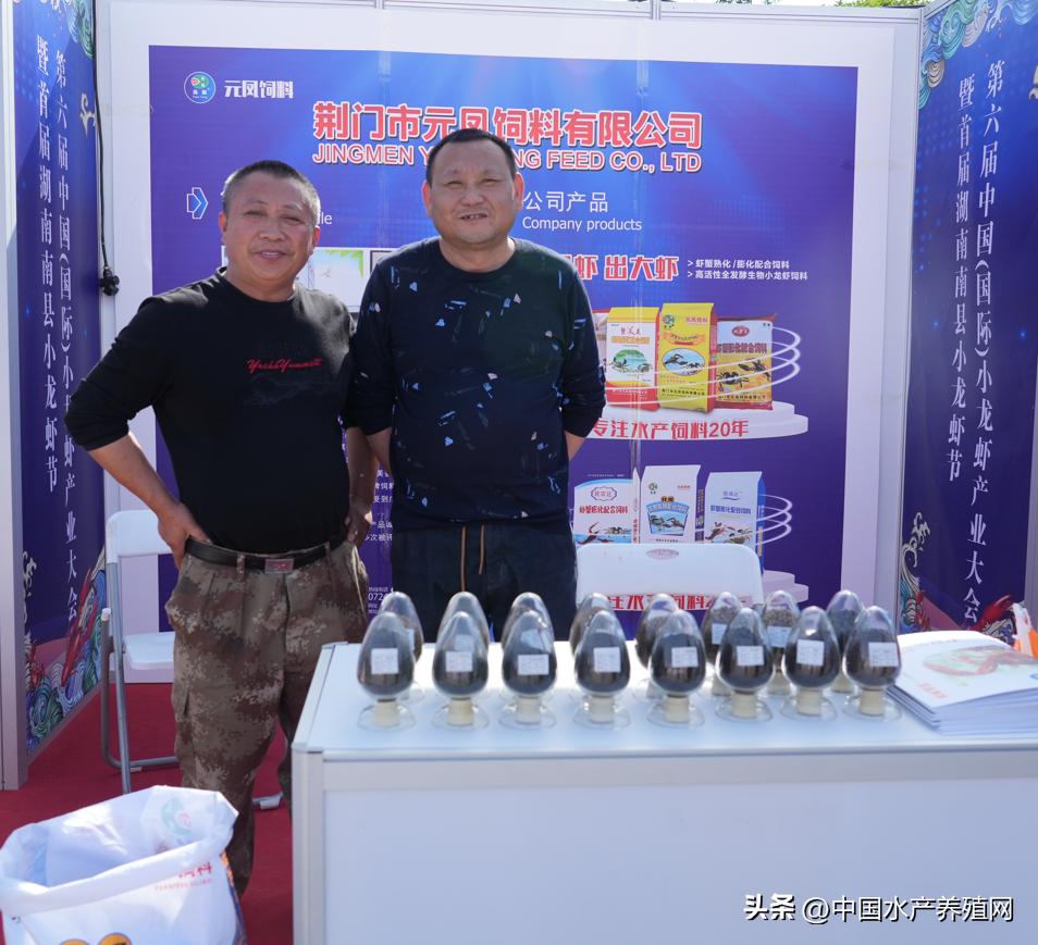 2023年南县小龙虾价格行情,南县小龙虾价格报价