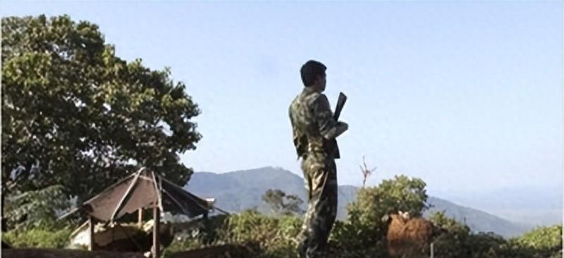 百万网红雅典娜现身缅北训狗营,缅北训狗场被救女孩真实采访