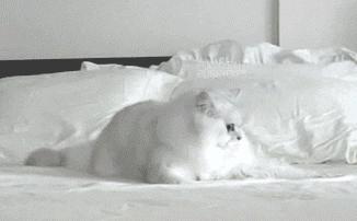 隐形眼镜卷眼睛里出不来怎么办,隐形眼镜在眼睛里打卷