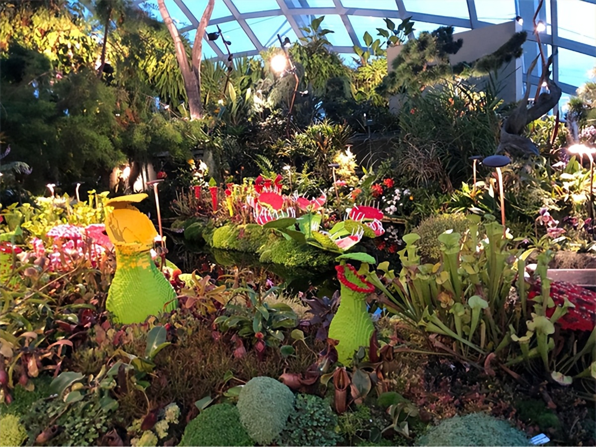 福建乡村旅游推荐,福建乡村游推荐