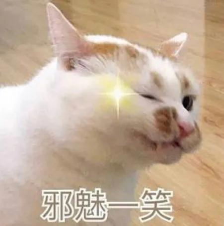 河南应届毕业生可以报考选调生吗,应届毕业生可以考几次选调生