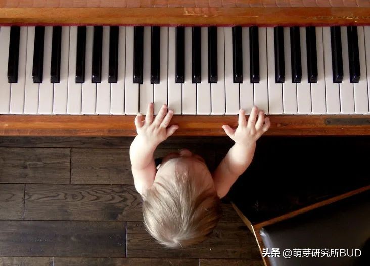 热门儿童兴趣班推荐,兴趣班盘点