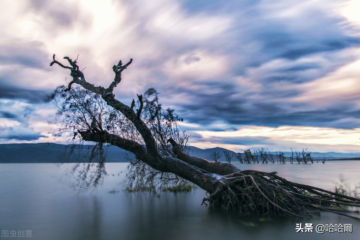 *藏西**的第二站大理