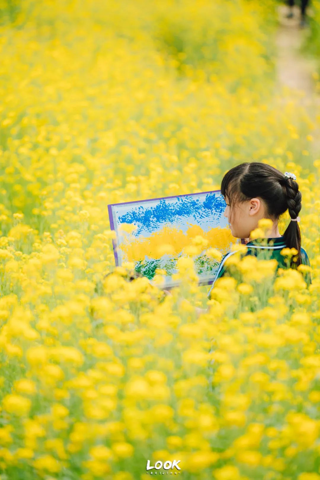 北京居庸关花海栈道,北京四季花海景区