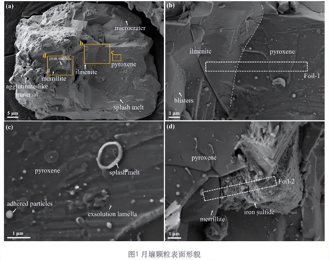 阿波罗登月遇到的神秘事件,阿波罗登月发现的五大疑点
