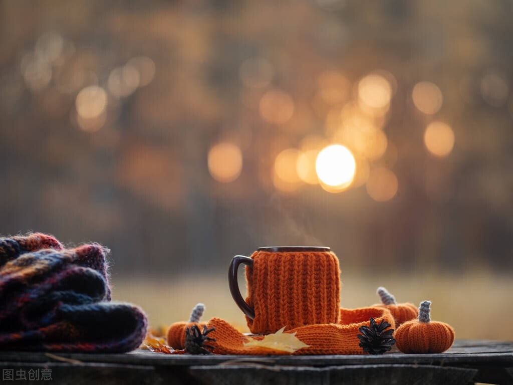 四本精彩耐看的单女主小说,给大家推荐几本单女主的小说