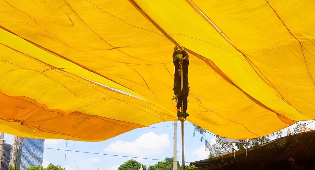 我不是药神和齐霁哪个好看,我不是药神文牧野完整