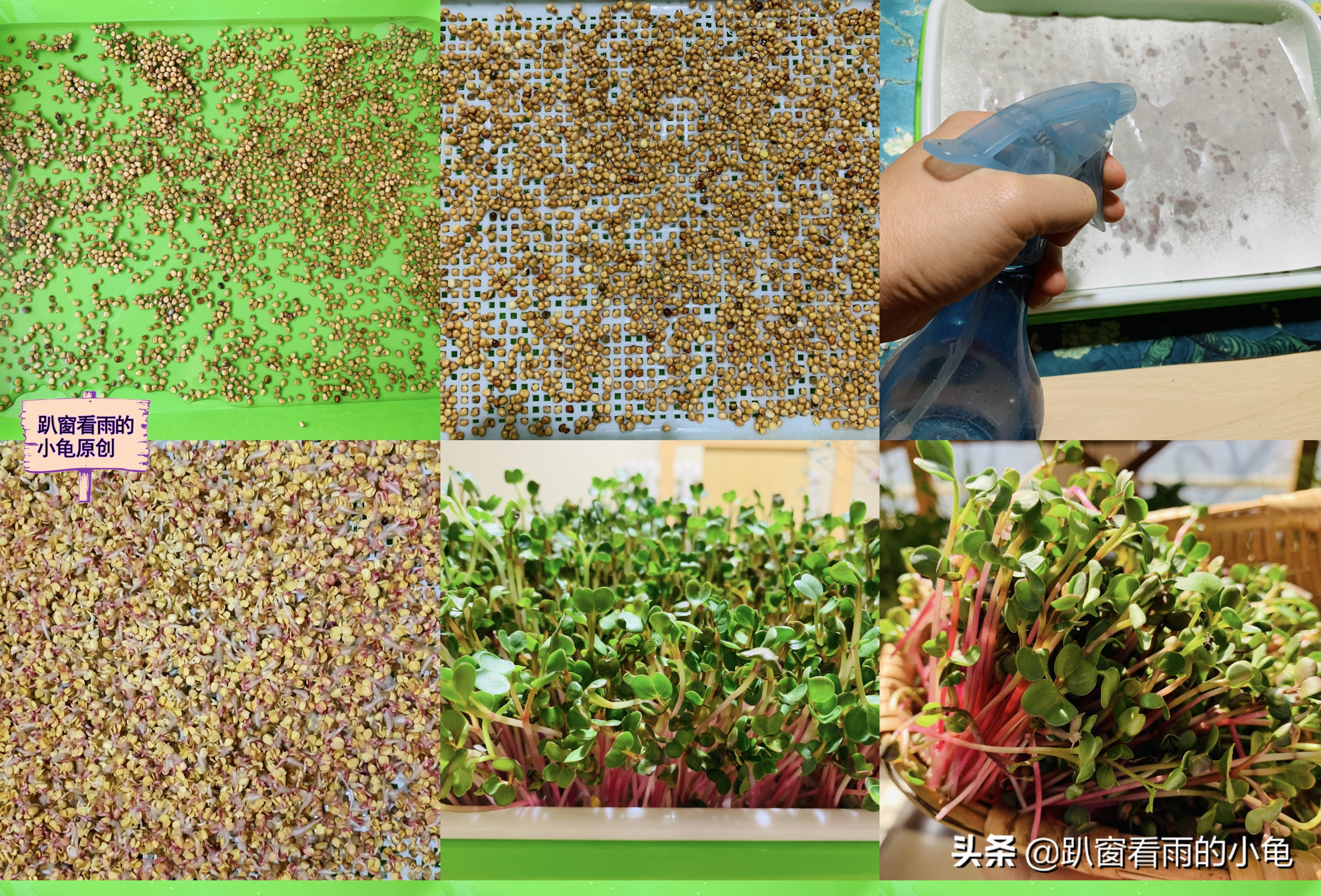 家有余粮，遇事不慌！收好10种生活必要的物资，这3件事也做起来