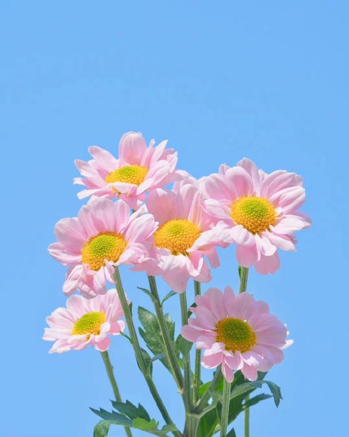 酒店式旅居养老,怎么选择酒店式养老