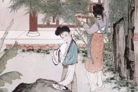 奇案大观视频全集,奇案大观