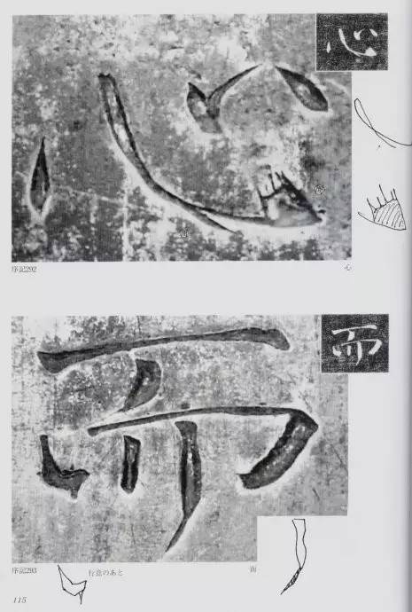 宸ョ瑪鐢绘潹鏅箟鐢诲唽,鏉滈箖鏉ㄦ櫘涔夊畬鏁寸増